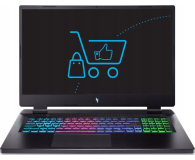 Acer Nitro 17 R7-8845HS/16GB/1TB RTX4070 165Hz QHD - 1243398 - zdjęcie 1